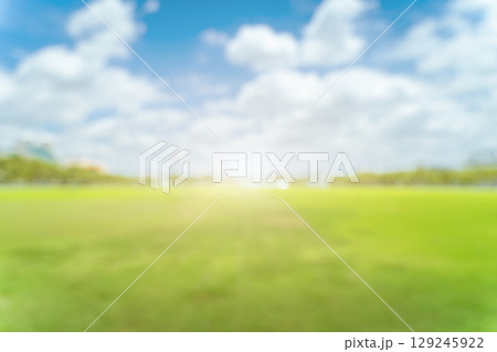 Beautiful blur green grass field background against summer sky with clouds on a bright sunny day 129245922