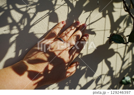 Hand Touching Wall with Leaf Shadows at Sunset Hand Touching Wall with Leaf Shadows at Sunset 129246397