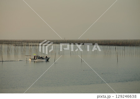 大牟田市　有明海　海苔畑、 129246638