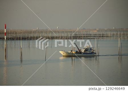 大牟田市 有明海 海苔畑、 大牟田市 有明海 海苔畑、 129246649