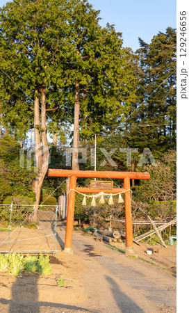 宮城県多賀城市 荒脛巾神社 129246656