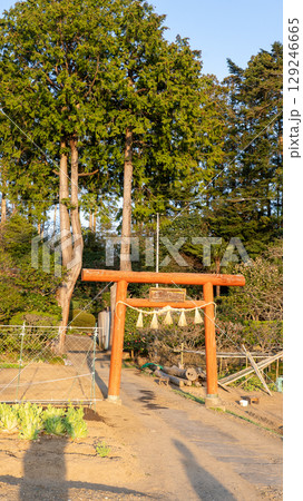 宮城県多賀城市 荒脛巾神社 宮城県多賀城市 荒脛巾神社 129246665