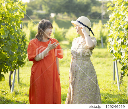 葡萄畑を歩く二人の女性 129246969