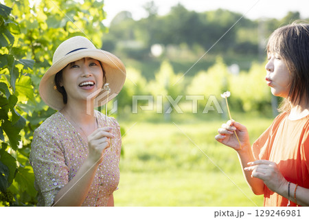 葡萄畑を歩く二人の女性 葡萄畑を歩く二人の女性 129246981