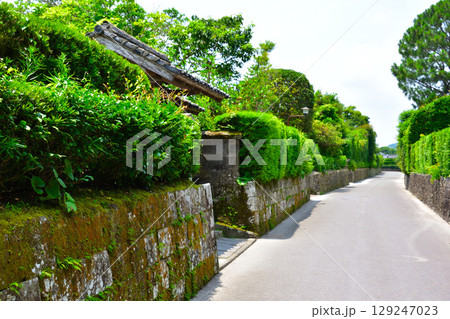 知覧武家屋敷群 知覧武家屋敷群 129247023