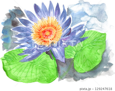水彩で描いたハスの花25805pix7 129247618