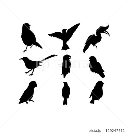 bird silhouette. 129247811