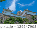 姫路城の石垣と天守閣 129247908