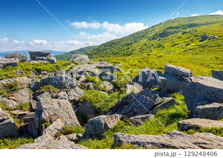 rocks on alps in carpathian mountains. wonderful travel landscape in summer. scenic view with sandstone among grass on the hill. alpine scenery of ukraine on a sunny day with blue sky and clouds 129248406