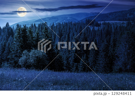 mountain landscape with fir forest on the hill in summer at night. hiking through beautiful nature scenery of alpine countryside in full moon light. scenic view of woodland under blue sky with clouds mountain landscape with fir forest on the hill in summer at night. hiking through beautiful nature scenery of alpine countryside in full moon light. scenic view of woodland under blue sky with clouds 129248411