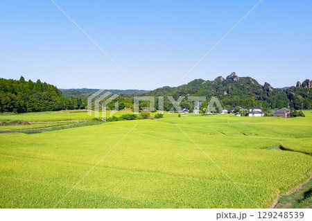 田染荘 田染荘 129248539