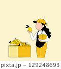 Lemon Vendor Inspecting Fruit 129248693