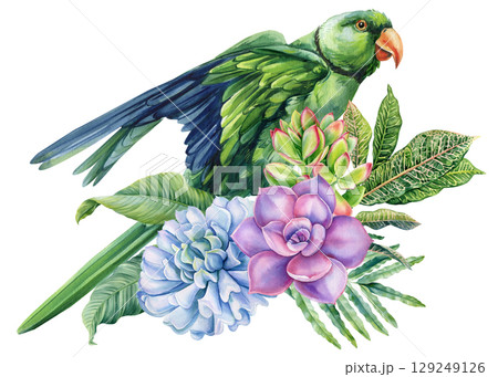 green parrot with blue wings and colorful succulents watercolor exotic bird with tropical leaves on white background green parrot with blue wings and colorful succulents watercolor exotic bird with tropical leaves on white background 129249126
