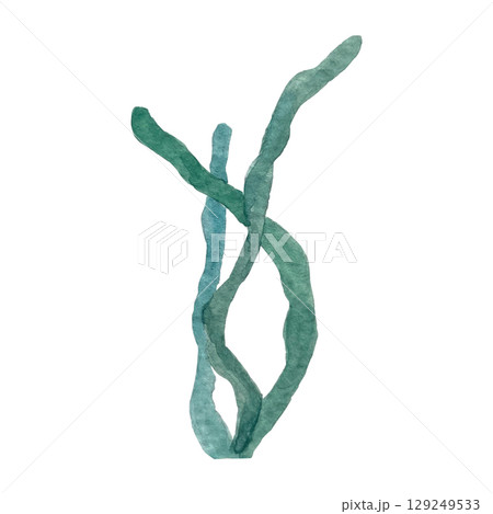 Hand painted watercolor algae on a white background. Ideal for postcards, printing on wallpaper, fabric 129249533