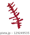 Hand painted watercolor algae on a white background. Ideal for postcards, printing on wallpaper, fabric 129249535