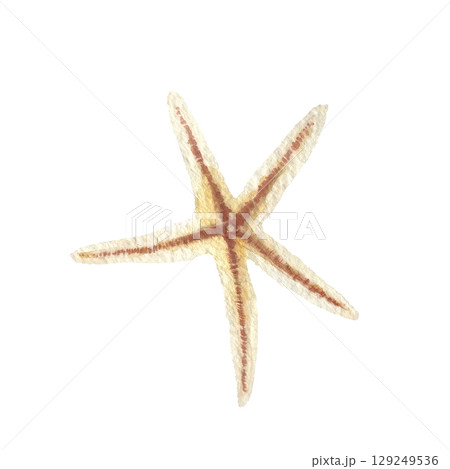 Hand painted watercolor starfish on a white background. Ideal for postcards, printing on wallpaper, fabric Hand painted watercolor starfish on a white background. Ideal for postcards, printing on wallpaper, fabric 129249536