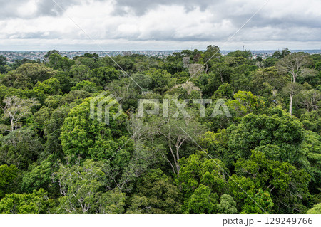 View from the tower of the Musa botanical garden. Manaus, Brazil. Natural beauty, Floresta Amazonica View from the tower of the Musa botanical garden. Manaus, Brazil. Natural beauty, Floresta Amazonica 129249766