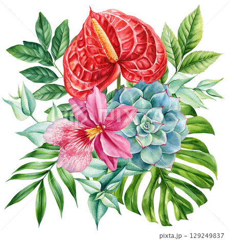 anthurium orchid and succulent with tropical leaves watercolor exotic botanical composition on white background 129249837