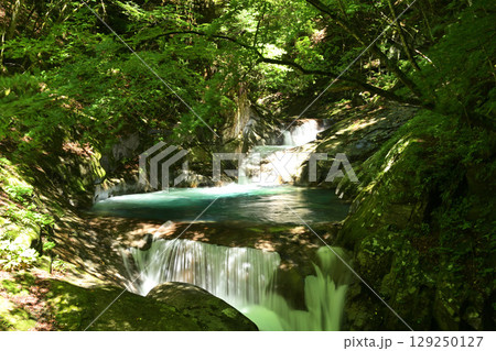 緑の中を流れる清流 129250127