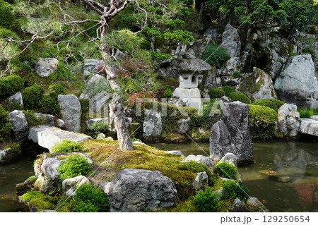 紅葉のある滋賀院門跡庭園 紅葉のある滋賀院門跡庭園 129250654