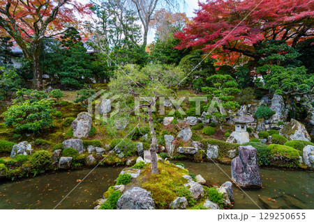 紅葉のある滋賀院門跡庭園 129250655