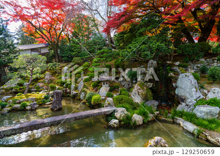 紅葉のある滋賀院門跡庭園 紅葉のある滋賀院門跡庭園 129250659