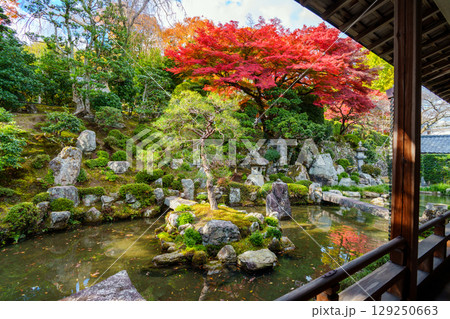 紅葉のある滋賀院門跡庭園 129250663