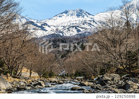 春の知床国立公園を流れる清流と雪山 129250898