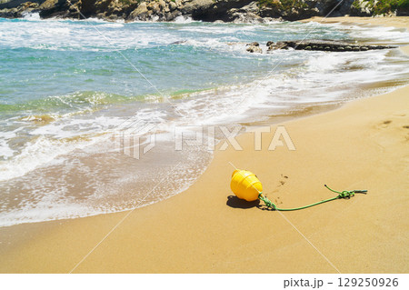 Impact of climate change on coastal ecosystems with a focus on weather events Impact of climate change on coastal ecosystems with a focus on weather events 129250926
