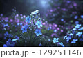 淡い光の中に咲く勿忘草 129251146