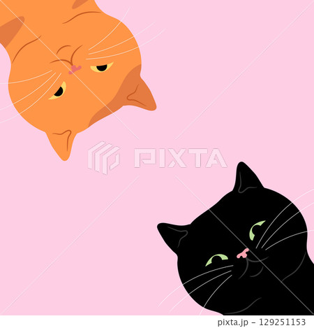 Two cute cats looking down. Curious ginger and black cats background. Vector illustration Two cute cats looking down. Curious ginger and black cats background. Vector illustration 129251153