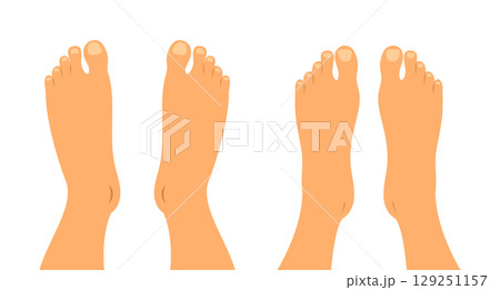 Bare male and female feet. Top view of the soles of male and female feet. Vector illustration. Bare male and female feet. Top view of the soles of male and female feet. Vector illustration. 129251157