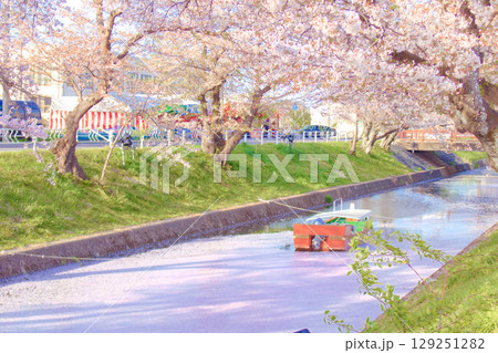 [愛知県]丹羽郡大口町の五条川の桜並木 129251282