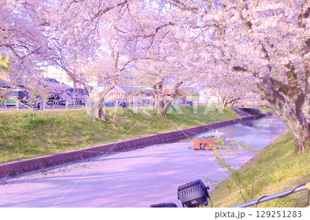 [愛知県]丹羽郡大口町の五条川の桜並木 129251283