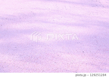 [愛知県]丹羽郡大口町の五条川の桜並木 129251284