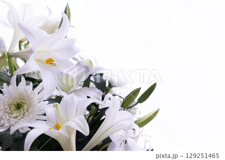 白いユリ　No.2 129251465