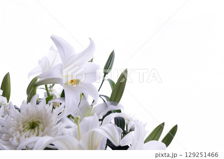 白いユリ　No.3 129251466