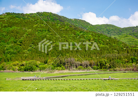 新緑の長者原　タデ原湿原とくじゅう連山 129251551
