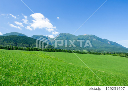 夏の久住高原 129251607