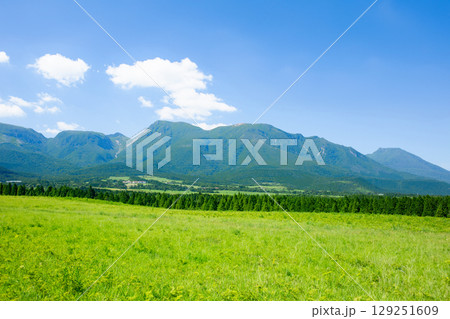 夏の久住高原 129251609
