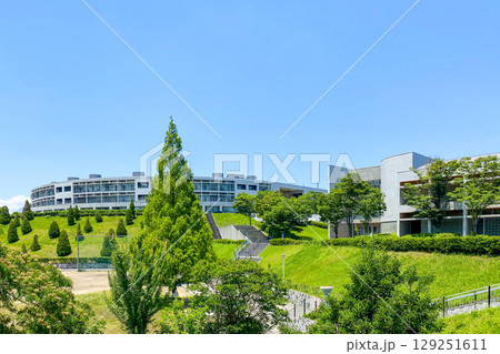 大分県立看護科学大学 129251611