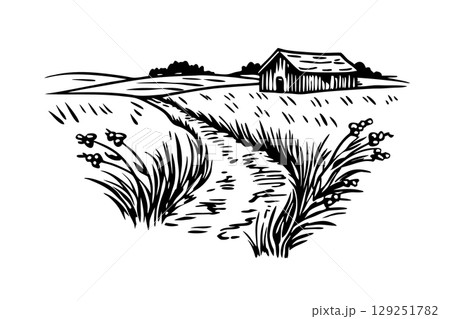 Countryside rural path with barn grassy field, country lane, wooden shed, farm landscape, nature scene, AI Generative 129251782