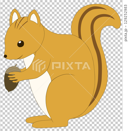 Squirrel with acorn 129252983