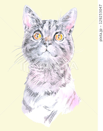 猫の絵 129253047