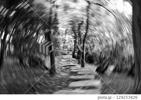日本庭園　木々の中を通る石段「白黒」ぐるぐる写真 129253826