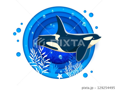 Paper cut underwater landscape with killer whale character. Ocean and sea animal, underwater nature or marine life 3d paper cut vector concept with killer whale personage, corals, seaweed silhouette Paper cut underwater landscape with killer whale character. Ocean and sea animal, underwater nature or marine life 3d paper cut vector concept with killer whale personage, corals, seaweed silhouette 129254495