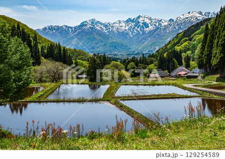 白馬の棚田 白馬の棚田 129254589