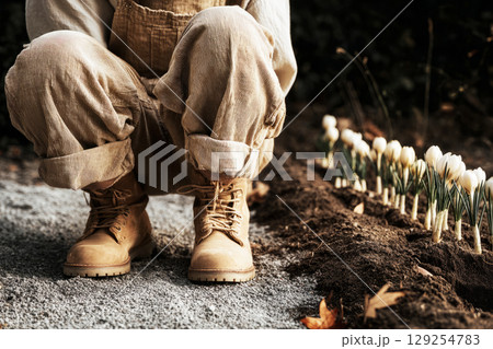 In a serene autumn garden, a gardener kneels on a gravel path, carefully planting white tulips while surrounded by fallen leaves and earthy tones, embodying the spirit of the season 129254783