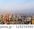 東京湾を望む黄金色の都市風景と東京タワー 129254940