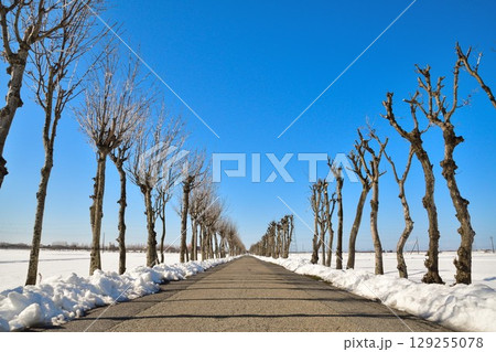 冬の満願寺はさ木（新潟県） 129255078